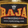 Raja Boxing RJB-P5 Боксерские Перчатки Тайский Бокс "Alka" Бордовый